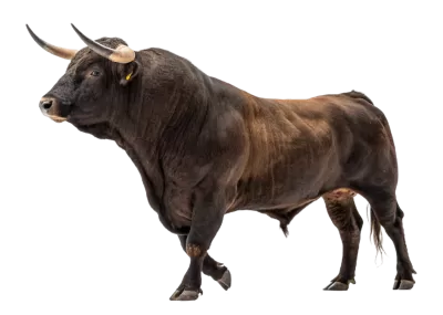 Imagen PNG para descargar